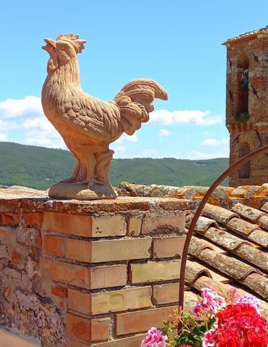 La Casa Del Gallo Radicondoli 外观 照片