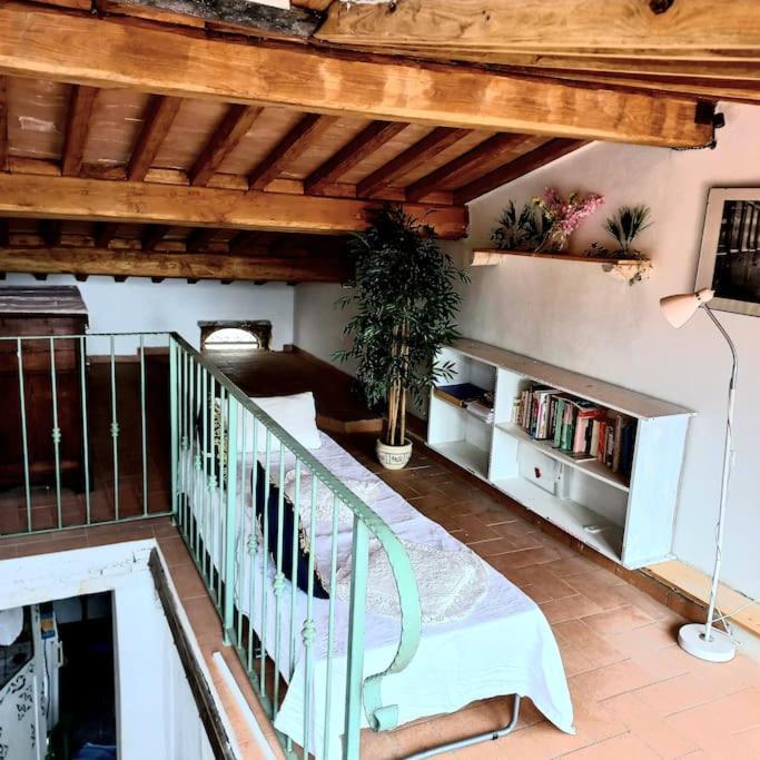 La Casa Del Gallo Radicondoli 外观 照片