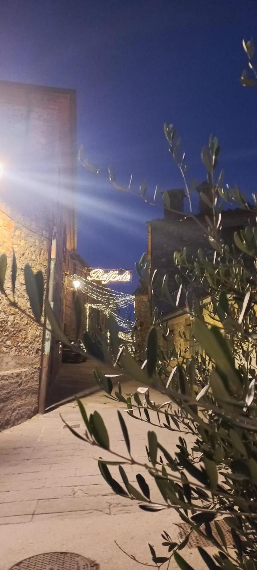 La Casa Del Gallo Radicondoli 外观 照片
