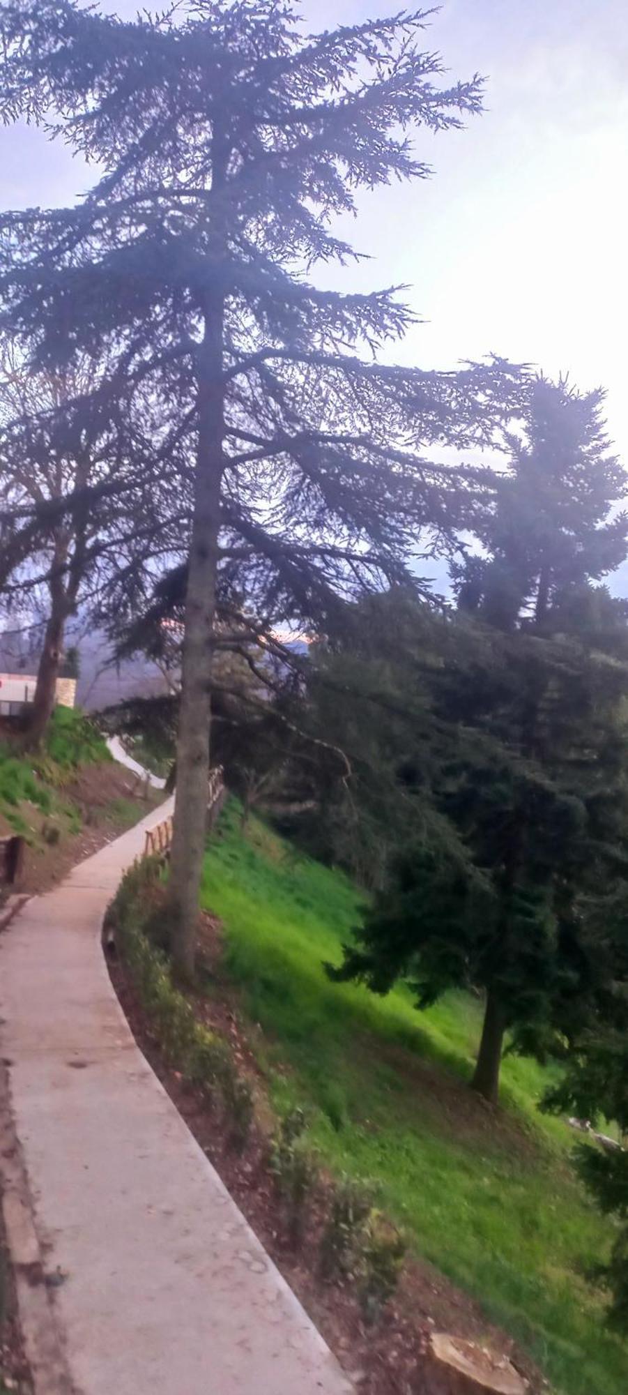 La Casa Del Gallo Radicondoli 外观 照片